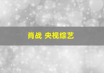 肖战 央视综艺